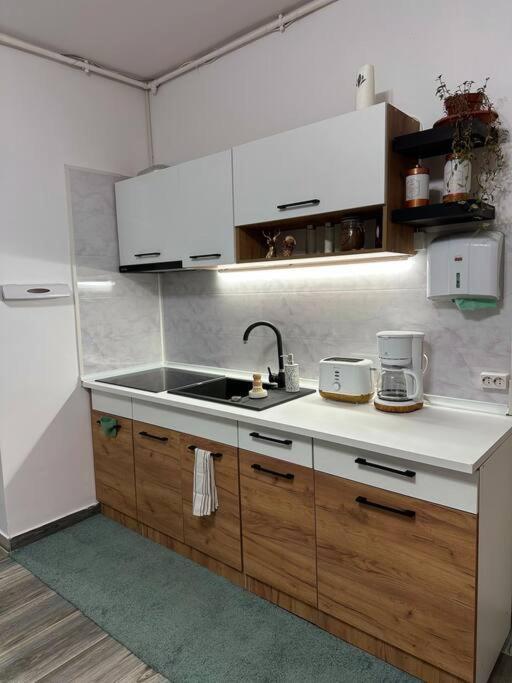 Zion Home Sibiu Luaran gambar