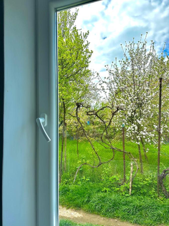 Zion Home Sibiu Luaran gambar
